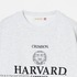 HARVARD CREWNECK SWEAT 詳細画像