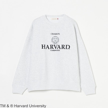 HARVARD CREWNECK SWEAT