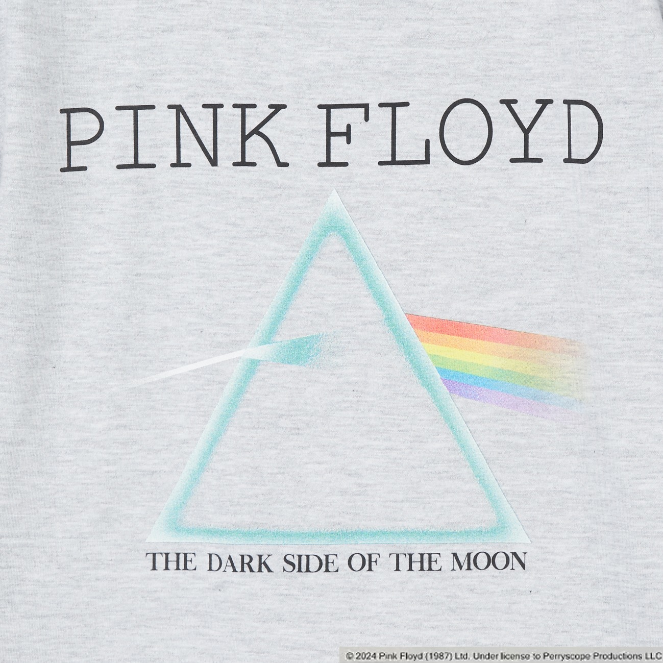 PINK FLOYDE TEE 詳細画像 ライトグレー 5